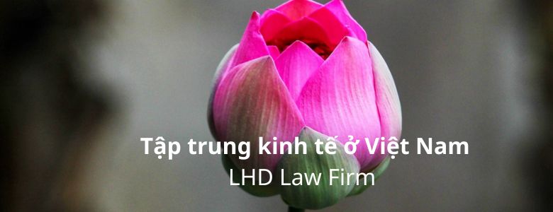HƯỚNG DẪN THÔNG BÁO TẬP TRUNG KINH TẾ - LHD LAW FIRM