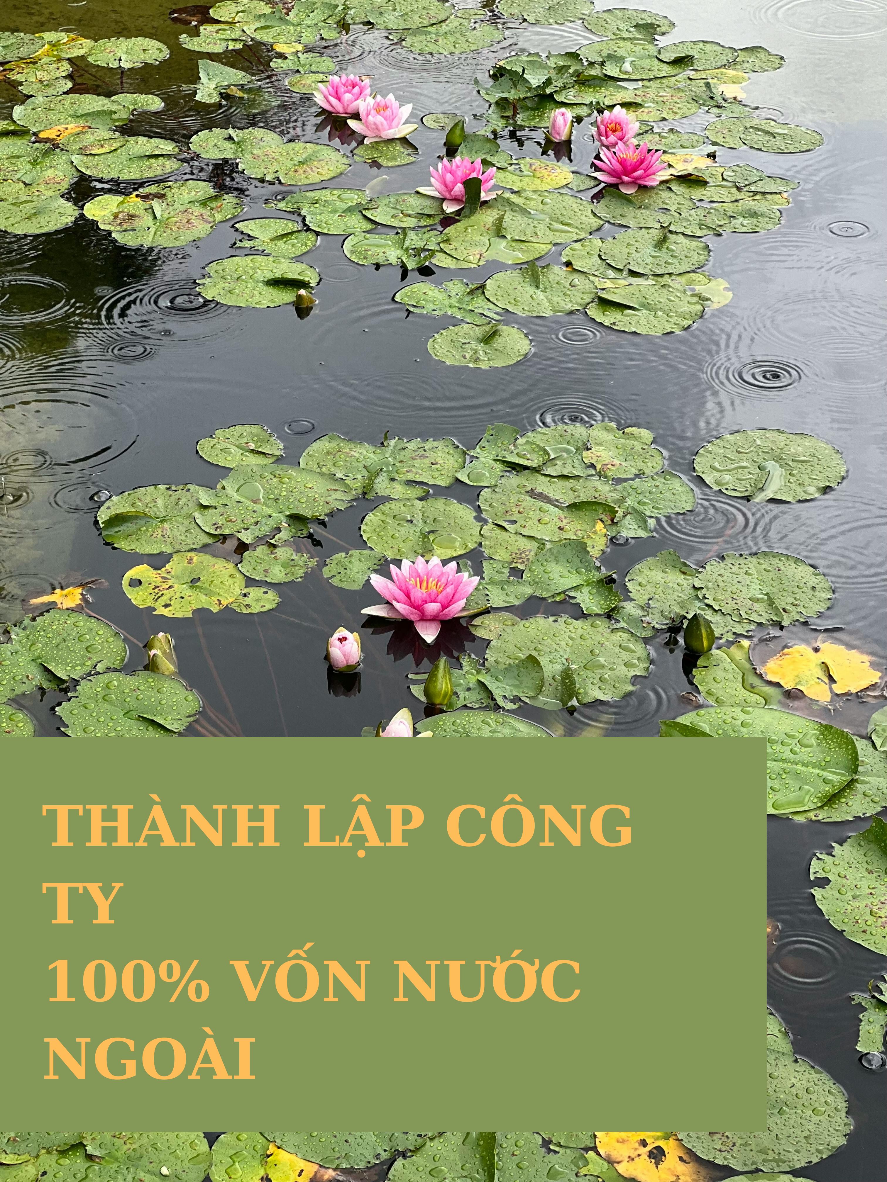 THÀNH LẬP CÔNG TY CÓ VỐN NƯỚC NGOÀI [MỚI NHẤT]