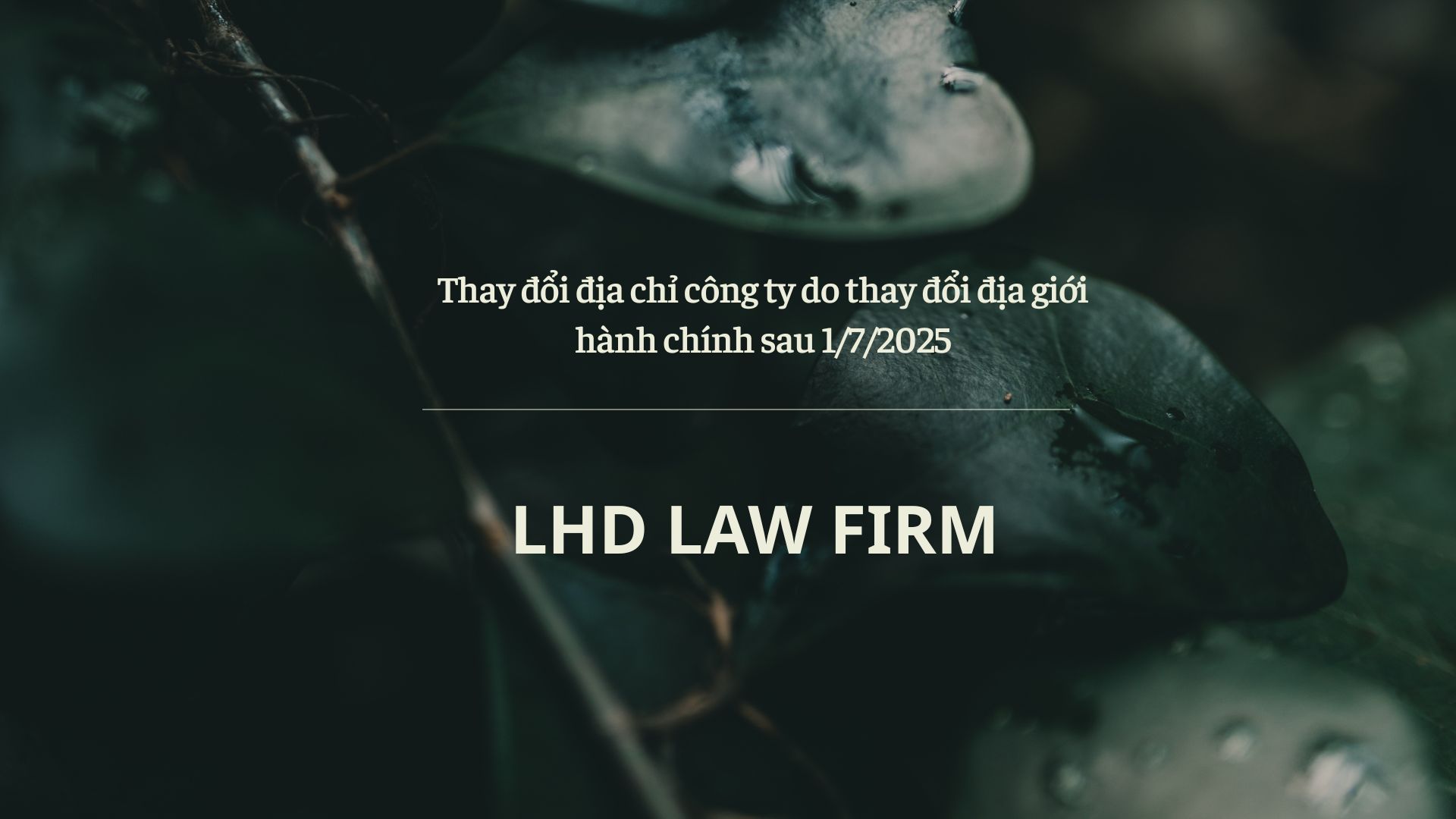Dịch Vụ Thay đổi địa chỉ công ty do thay đổi địa giới hành chính sau 1/7/2025
