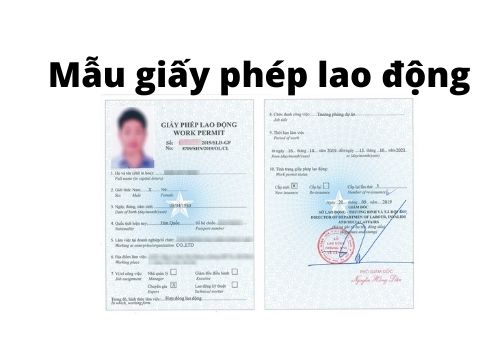 giay phep lao dong - cong ty luat lhd